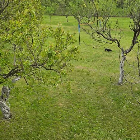 Vikendica, Stan Na Dan Nyaraló *